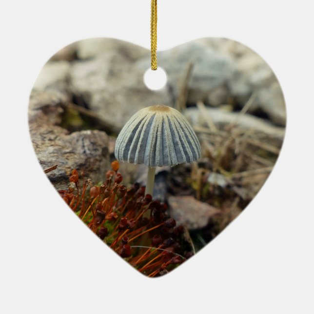 Tiny Toadstool Ceramic Ornament (Back)