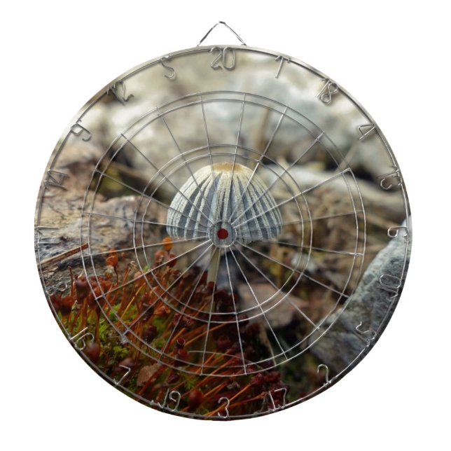 Tiny Toadstool Dart Board (Front)