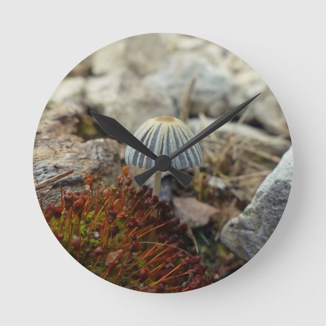 Tiny Toadstool Round Clock (Front)