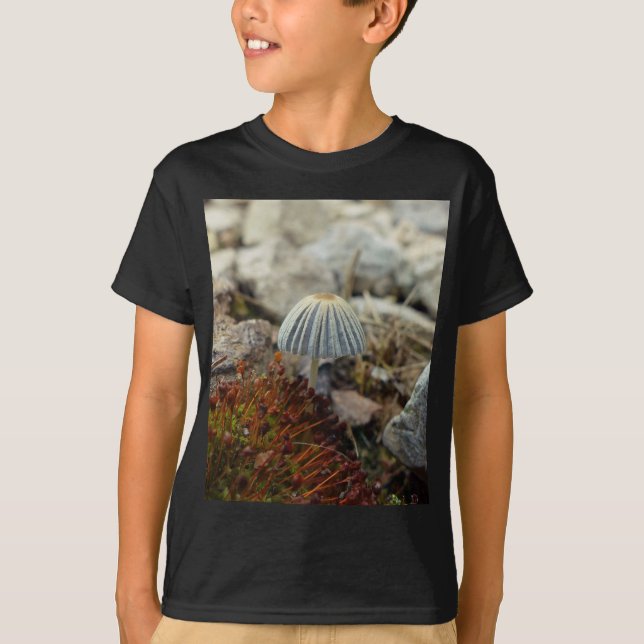 Tiny Toadstool T-Shirt (Front)
