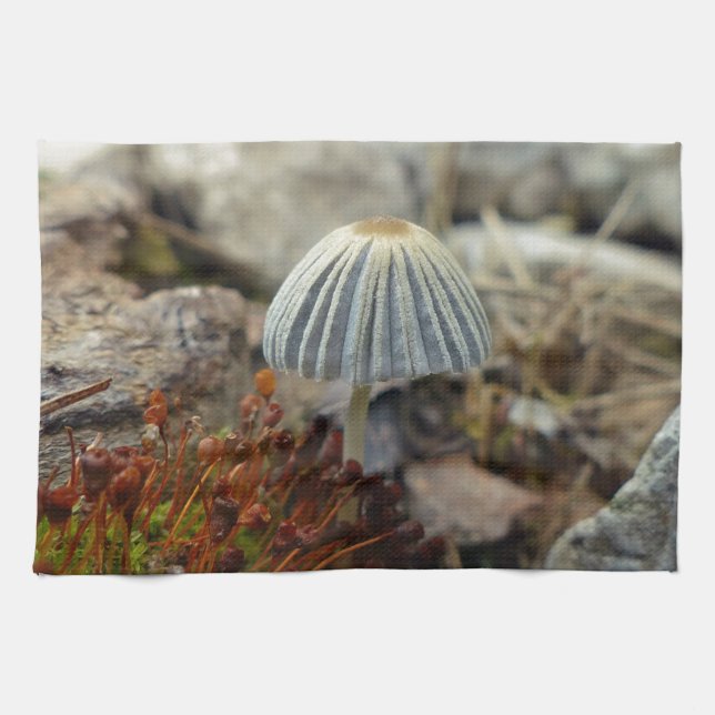 Tiny Toadstool Towel (Horizontal)