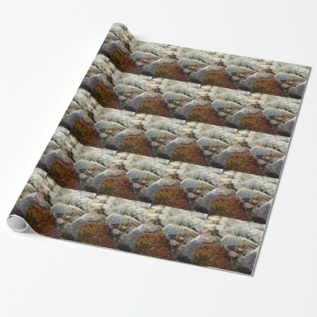 Tiny Toadstool Wrapping Paper (Unrolled)