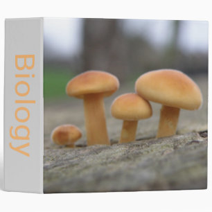 Tiny Toadstools Macro Custom Binder