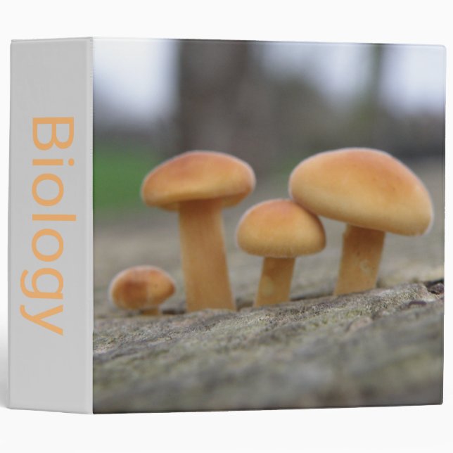 Tiny Toadstools Macro Custom Binder (Front/Spine)