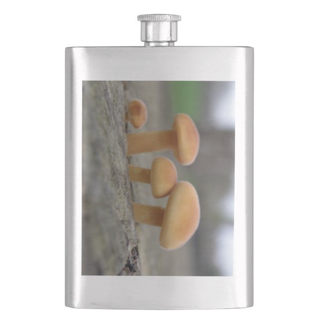 Tiny Toadstools Macro Flask (Front)