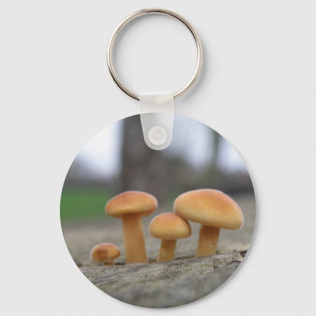 Tiny Toadstools Macro Keychain (Front)