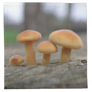 Tiny Toadstools Macro Napkin