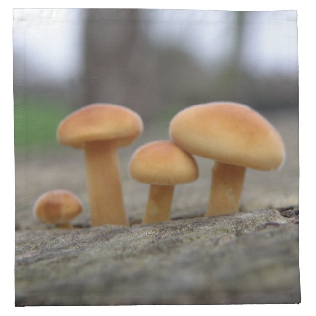 Tiny Toadstools Macro Napkin (Front)