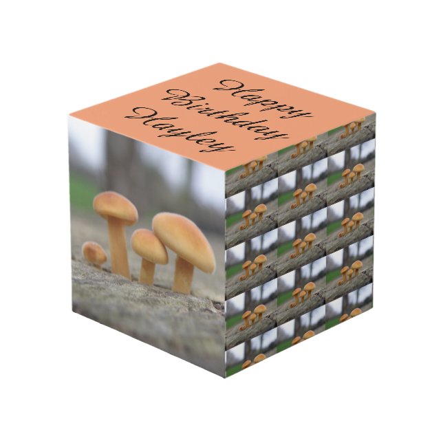 Tiny Toadstools Macro Personalized Cube (Front Angled)