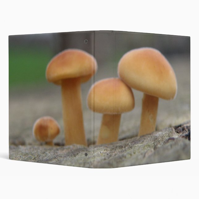 Tiny Toadstools Macro Photograph Album Binder (Background)