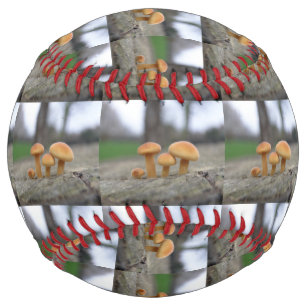 Tiny Toadstools Macro Softball