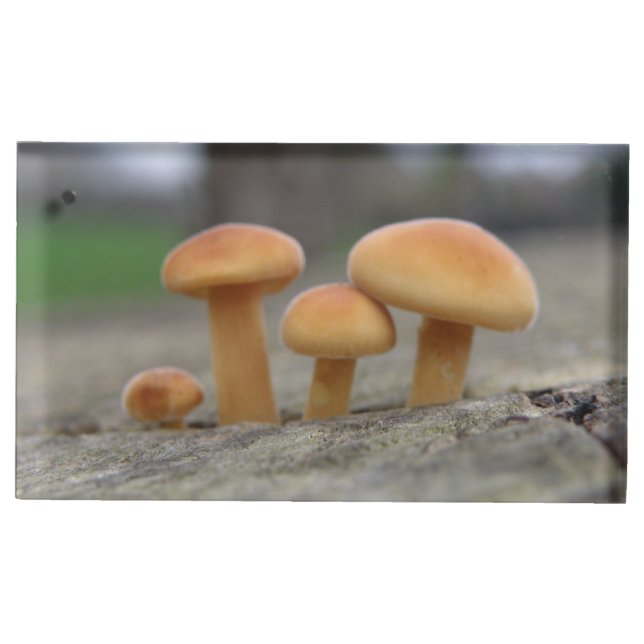 Tiny Toadstools Macro Table Card Holder (Front)