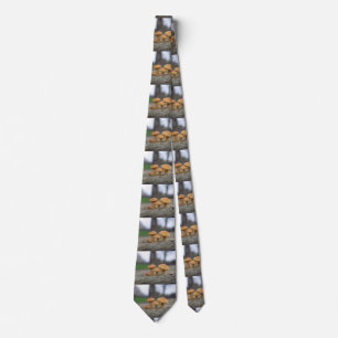 Tiny Toadstools Macro Tie