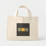 Casey  Tiny Tote Canvas Bag