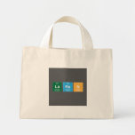 Laren  Tiny Tote Canvas Bag