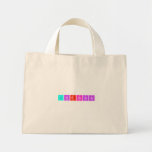 Jordynn  Tiny Tote Canvas Bag
