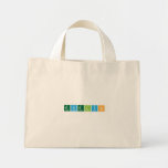 Evelyn  Tiny Tote Canvas Bag