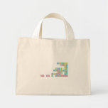 Elizabeth
 Found
 The
 Ultra Rare
 Evodactyl
 From The
 Burnassik Era
 She Is A Professor  Tiny Tote Canvas Bag