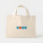 DIAZ  Tiny Tote Canvas Bag