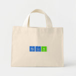 Dylan  Tiny Tote Canvas Bag