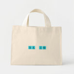 Tek it  Tiny Tote Canvas Bag