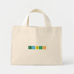 Ecoteach  Tiny Tote Canvas Bag