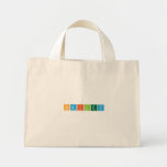 Hailey  Tiny Tote Canvas Bag