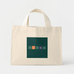 Hannah  Tiny Tote Canvas Bag