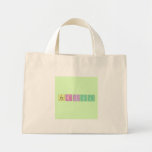 Pariya  Tiny Tote Canvas Bag