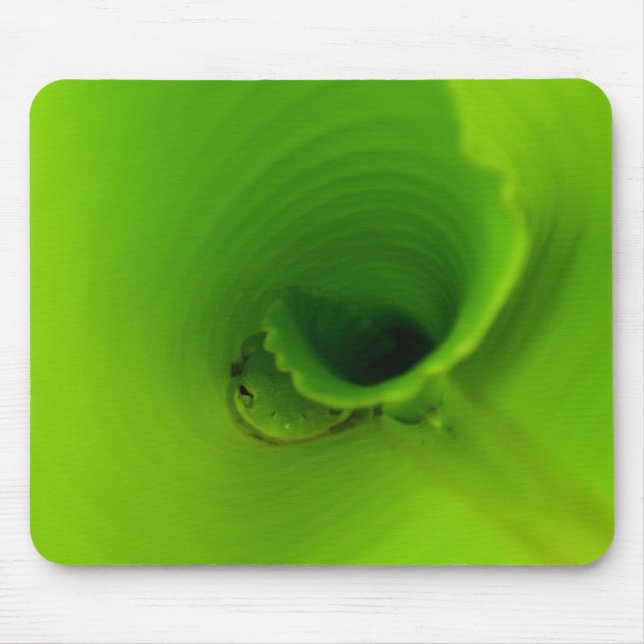 Tiny Tree Frog Mouse Pad (Front)