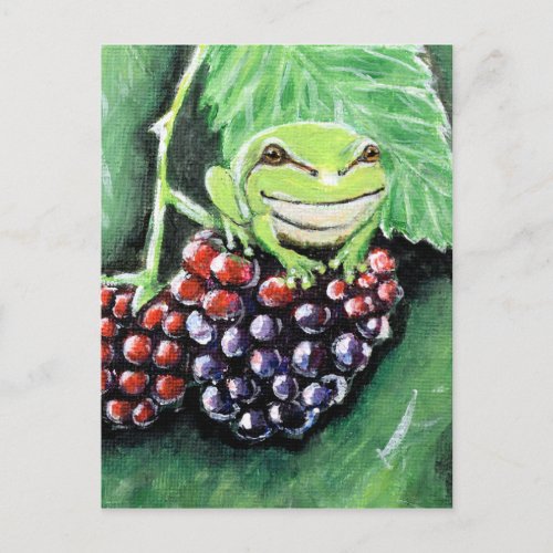 Tiny Tree Frog on a Blackberry Painting Postcard