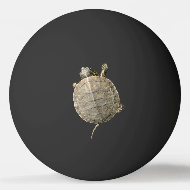 Tiny Turtle Tortoise Animal Photography Ping-Pong Ball (Front)