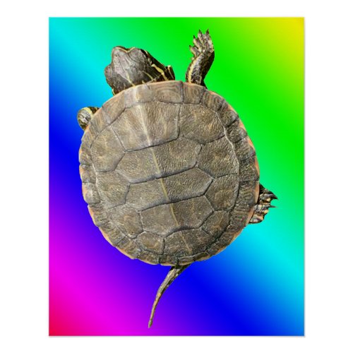 Tiny Turtle Tortoise on Rainbow Colors Gradient Poster