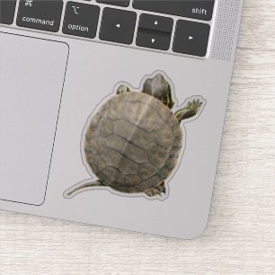 Tiny Turtle (Tortoise) Photo Sticker