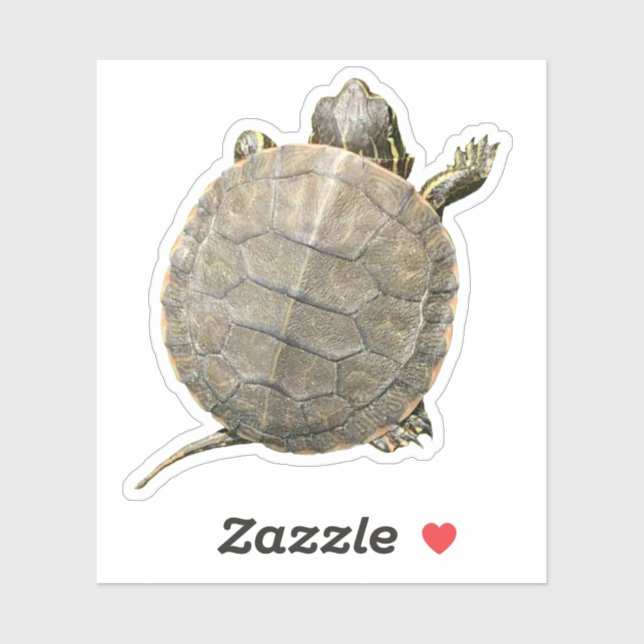Tiny Turtle (Tortoise) Photograph Sticker (Sheet)