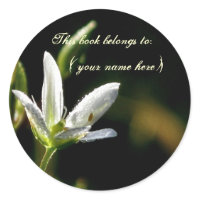 Tiny white flower sticker