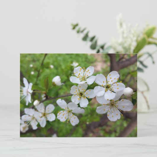 tiny white flowers (Standing Front)