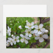 tiny white flowers (Front/Back)