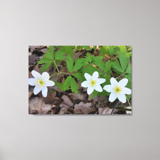 tiny white flowers canvas print (Front)