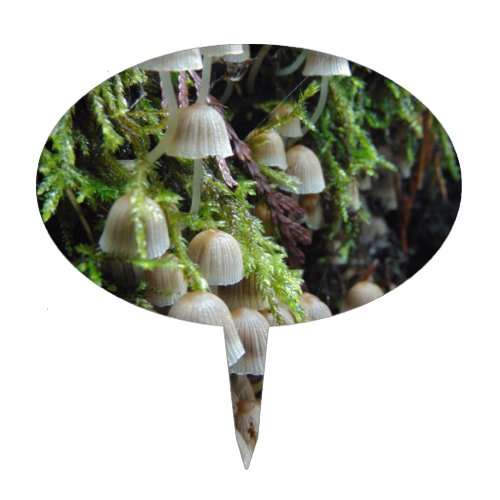 Tiny White Mushrooms Cake Topper