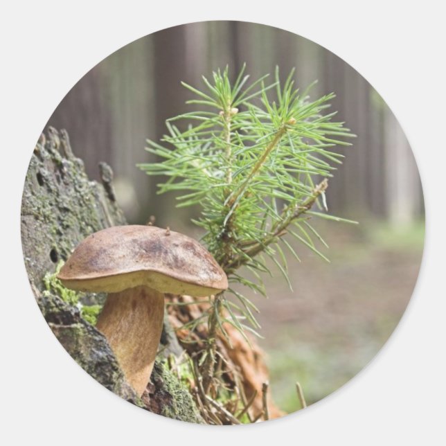Tiny Wild Mushroom Classic Round Sticker (Front)