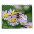 Tiny Wildlife: Insects Calendar | Zazzle