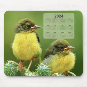Tiny Yellow Birds on a Green Plant 2024 Calendar Mouse Pad
