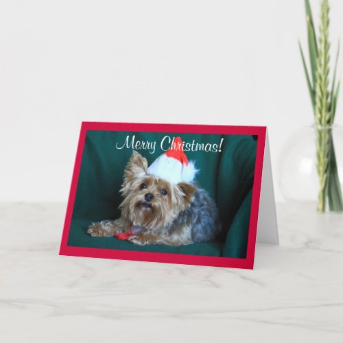 Tiny Yorkie in Santa Hat Holiday Card