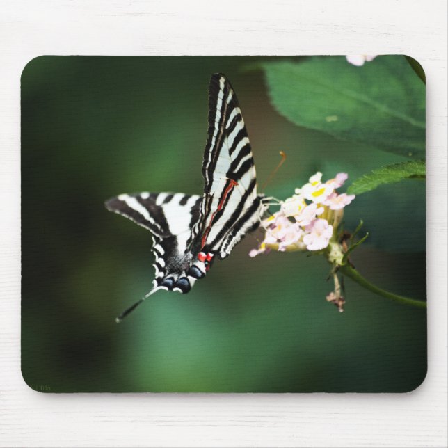 Tiny Zebra Mousepad (Front)