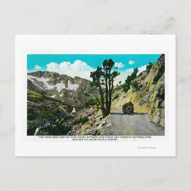 Tioga Road High Sierra between Tahoe and Yosemit Postcard (Front)