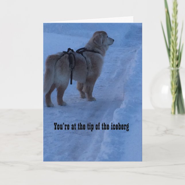 Tip Of The Iceberg, You've Got This - Card (Front)