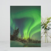 Tipping Spruce Aurora (Standing Front)