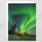 Tipping Spruce Aurora (Front/Back)