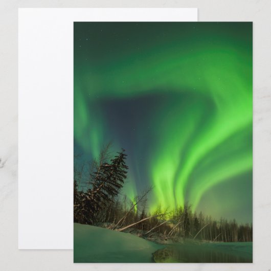 Tipping Spruce Aurora (Front/Back)